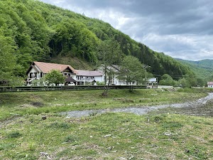 Popasul Dacilor place picture